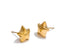 Mini aretes de estrella