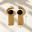 Aretes Órbita Negra